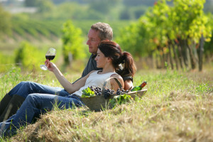 couple vineyards